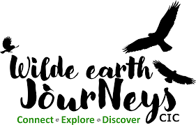 Wilde earth journeys